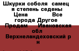 Шкурки соболя (самец) 1-я степень седены › Цена ­ 12 000 - Все города Другое » Продам   . Ивановская обл.,Верхнеландеховский р-н